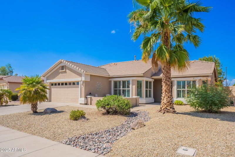 1-web-or-mls-Palm-1