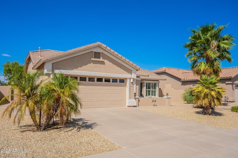 3-web-or-mls-Palm-3