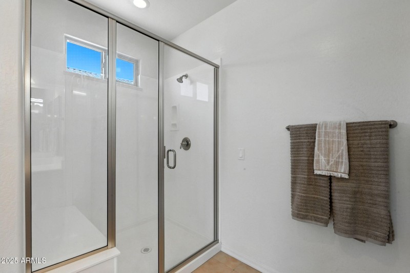 Primary Shower