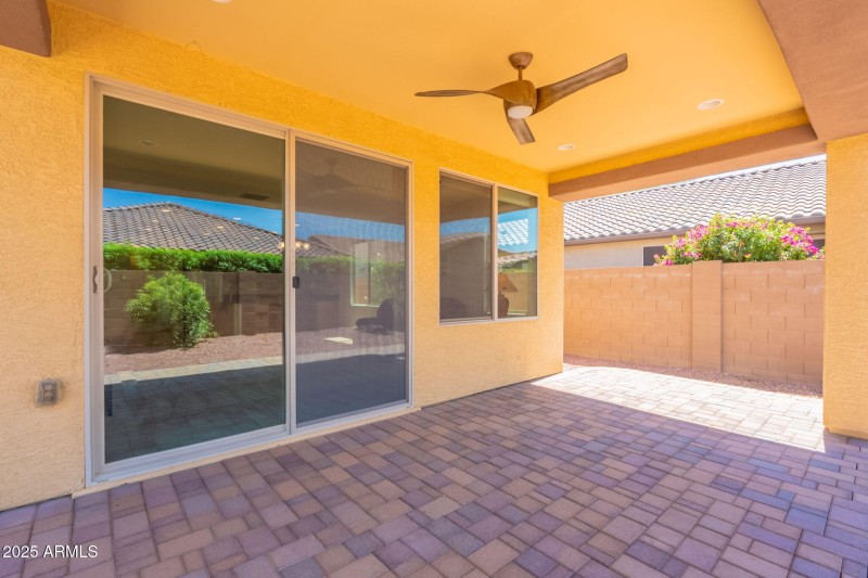 Back Yard / Patio