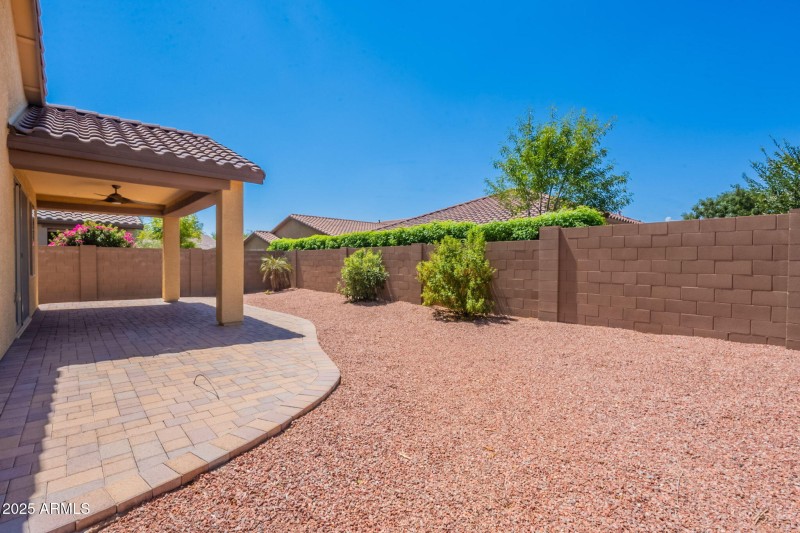 Back Yard / Patio