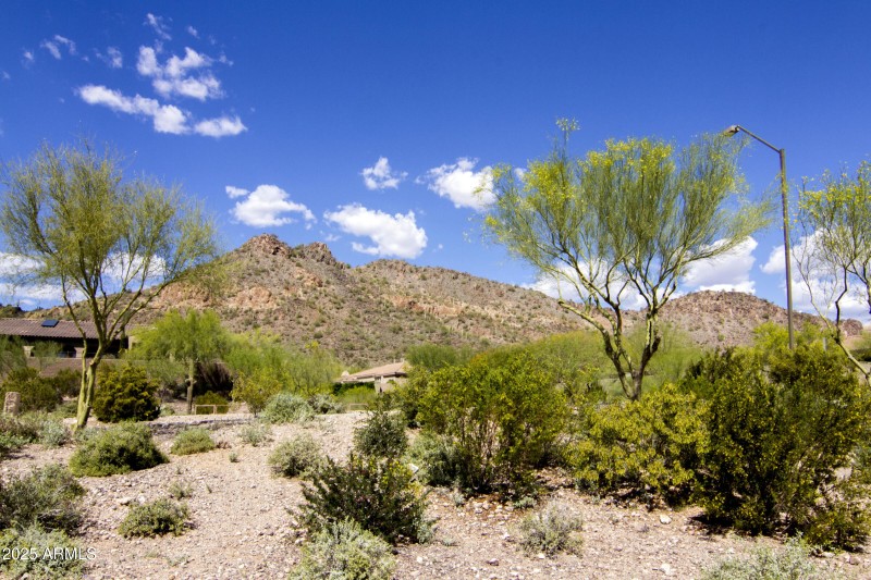 MtView_0407