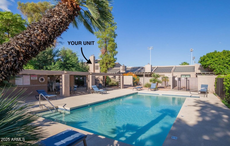 Community Pool - Forest