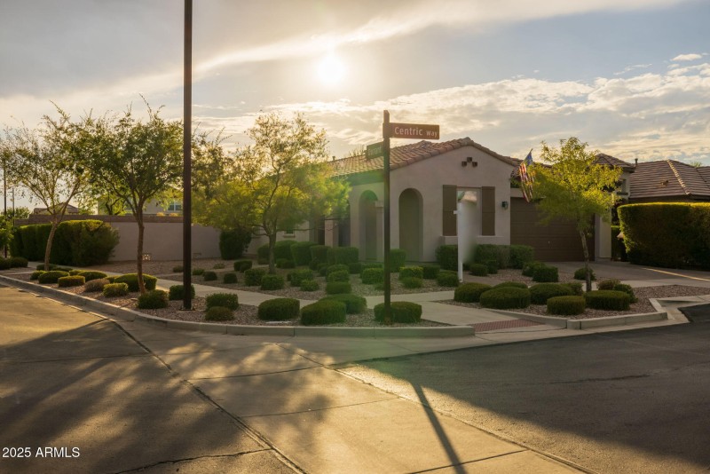 Frontyard