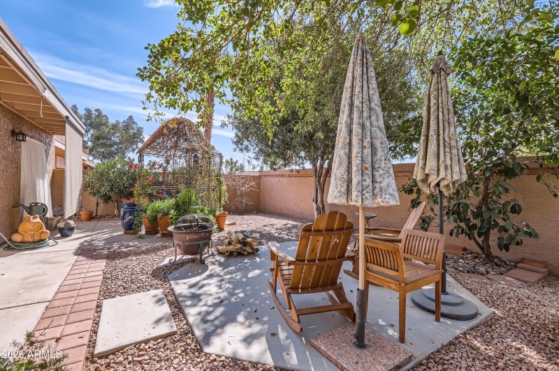 BACK YARD