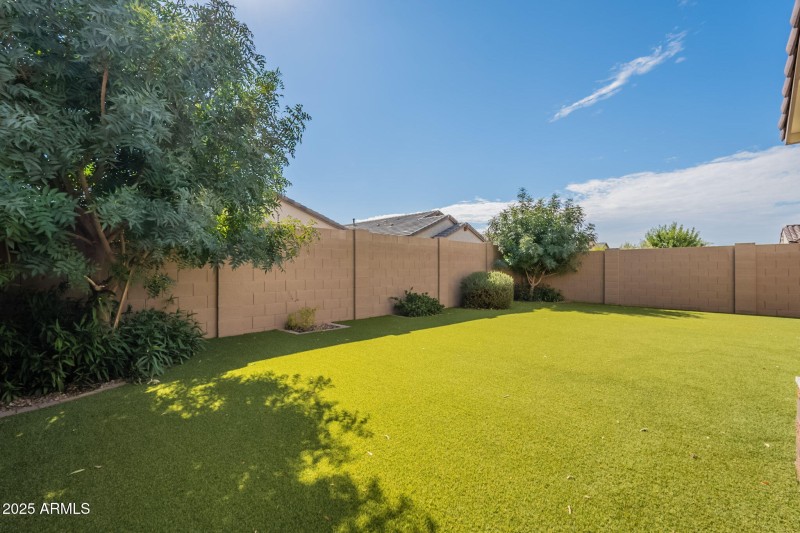 Back Yard