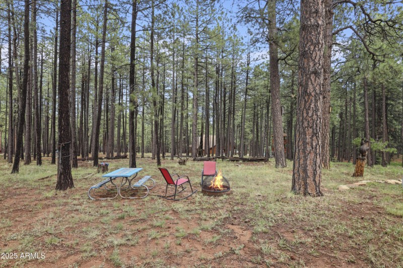 From Deck Out at ALL the Tall Pines