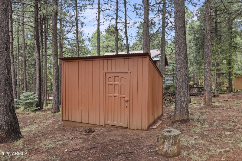 Freshly Painted Wood Shed