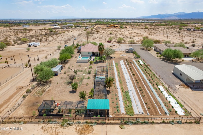 rows of farm view