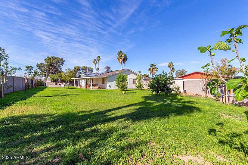 Oversized Lot