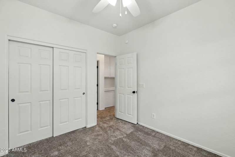 46-web-or-mls-Tamarisk-46