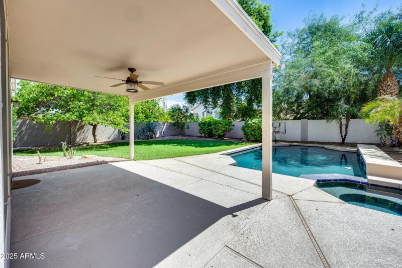 Back Patio / Pool