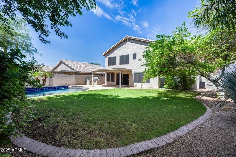 Backyard