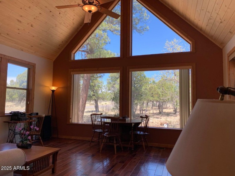 Big Windows