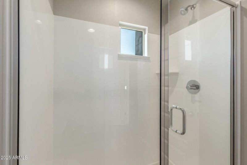 Primary Shower