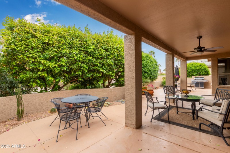 Patio view 2