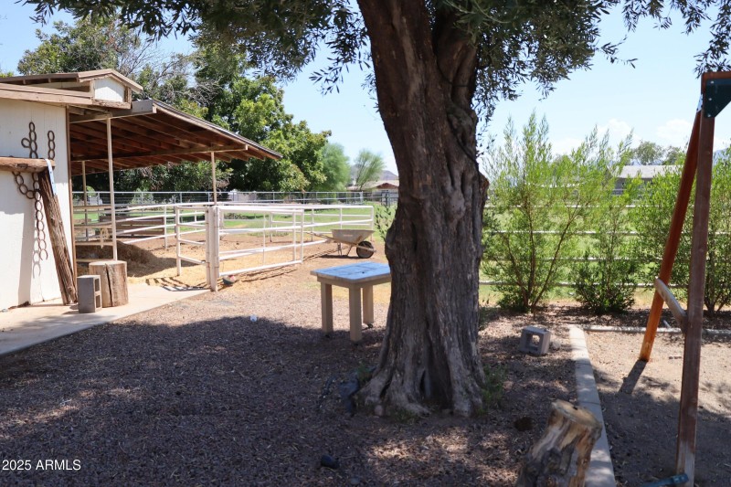 Backyard