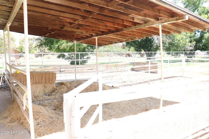 Horse Stable