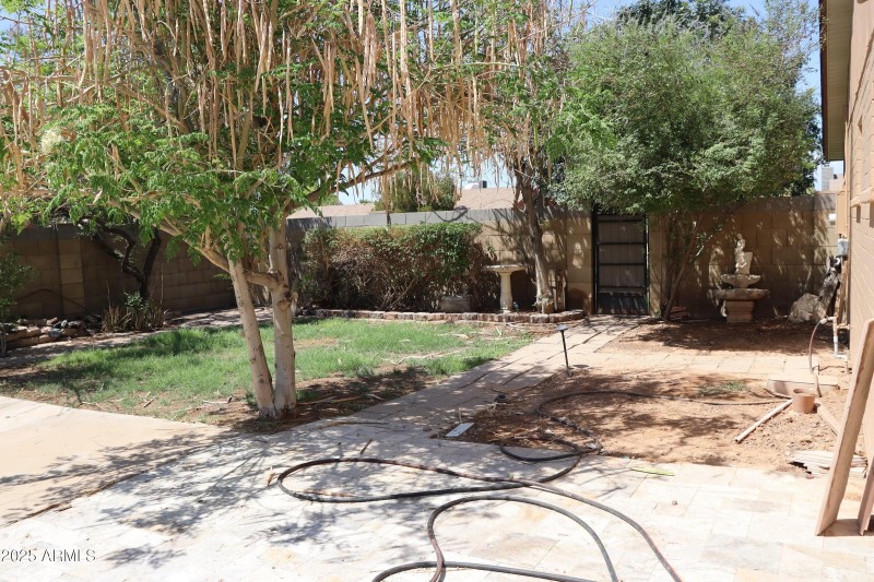 Backyard