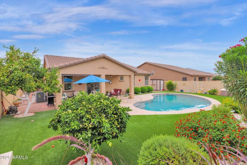34-web-or-mls-P1040056