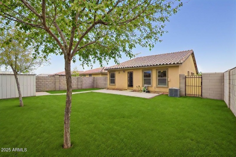 Backyard with Lush Lawn