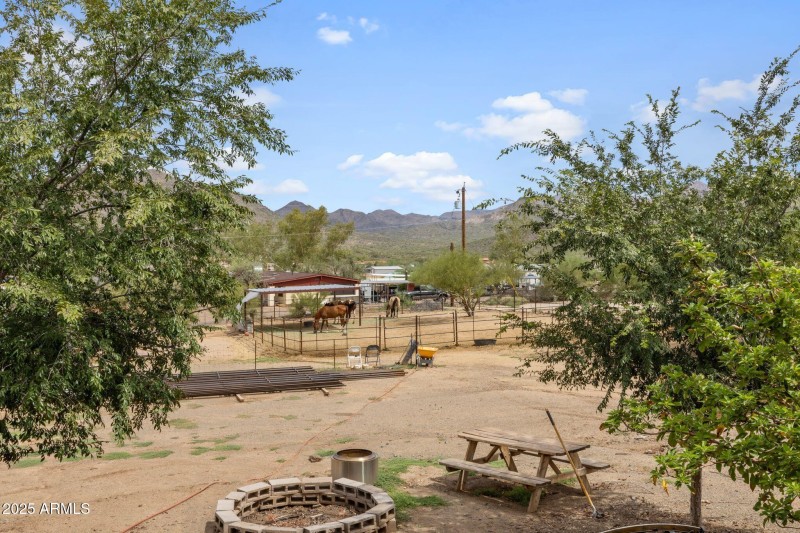 146-Backyard
