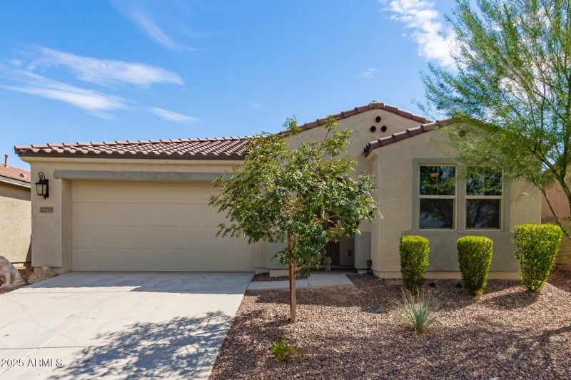 01 Ocotillo
