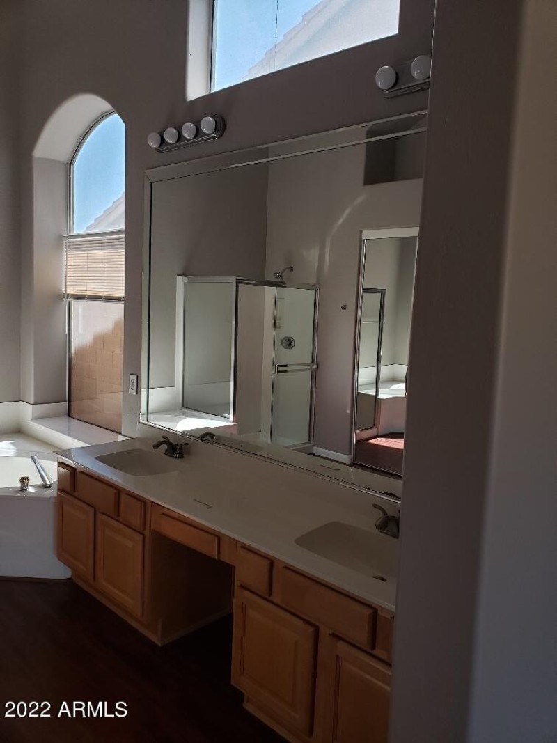 Primary Bathroom Vanity