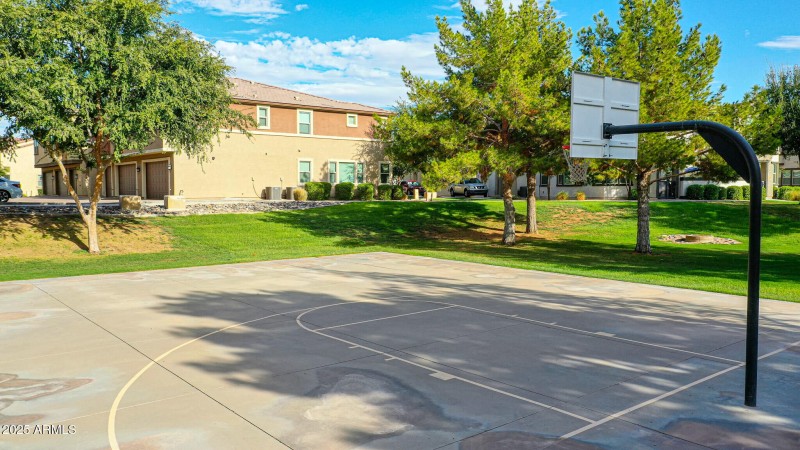 Basketball Court