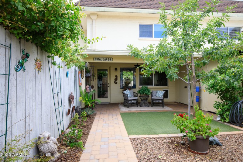 Backyard