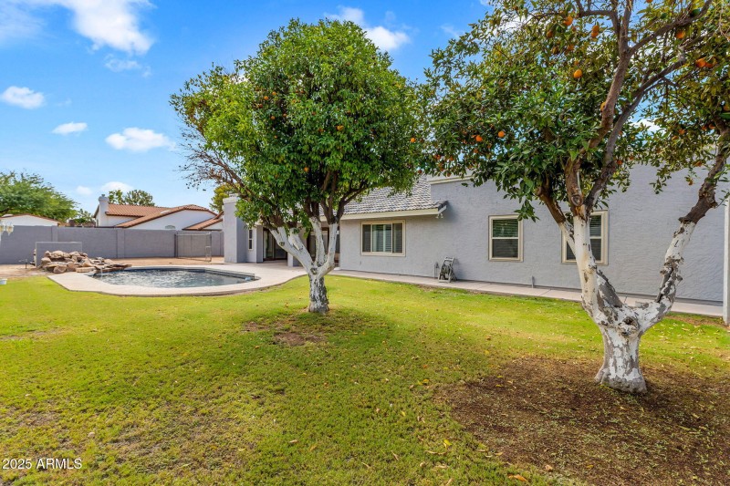 Backyard Retreat with Mature Landscaping