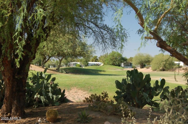 Golf Course 2