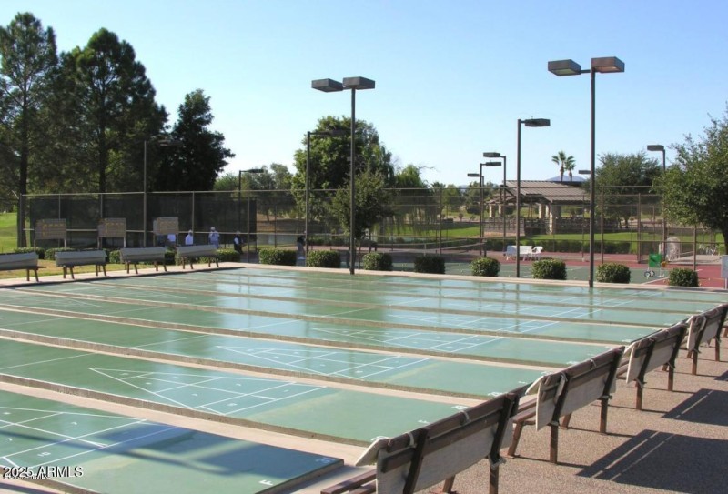 Shuffleboard 3