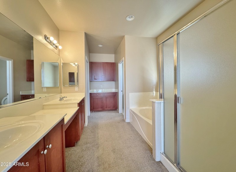 Separate tub & shower