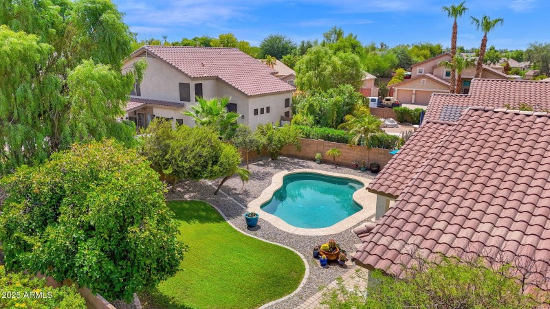 Stunning Back Yard