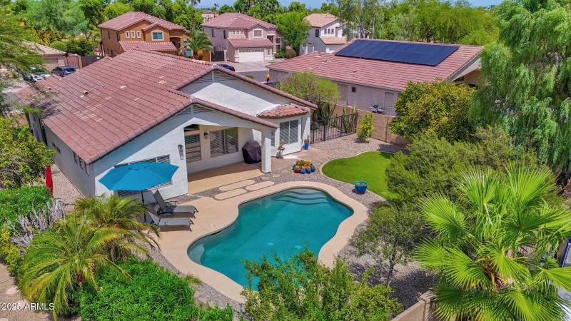Stunning Back Yard