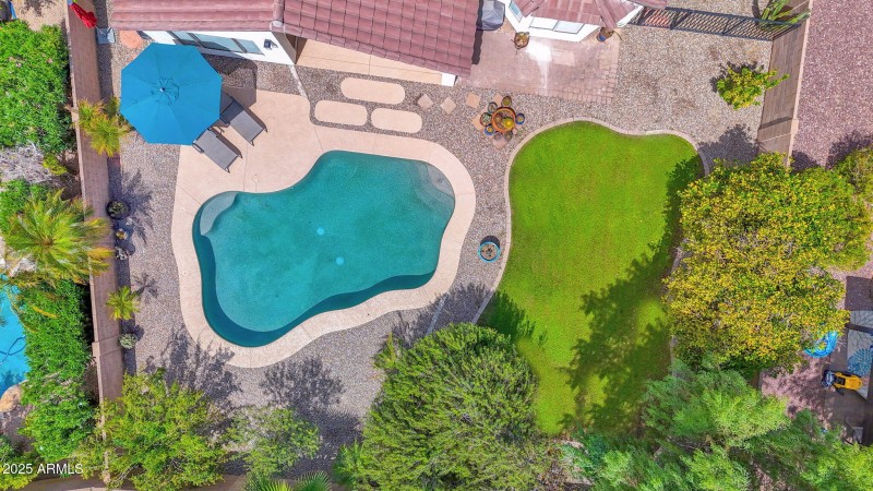 Stunning Back Yard