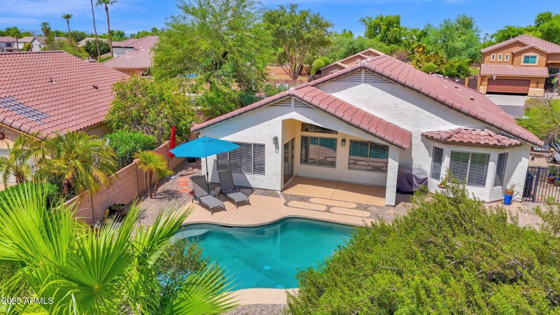Stunning Back Yard