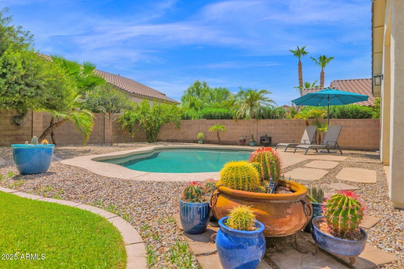 Stunning Back Yard