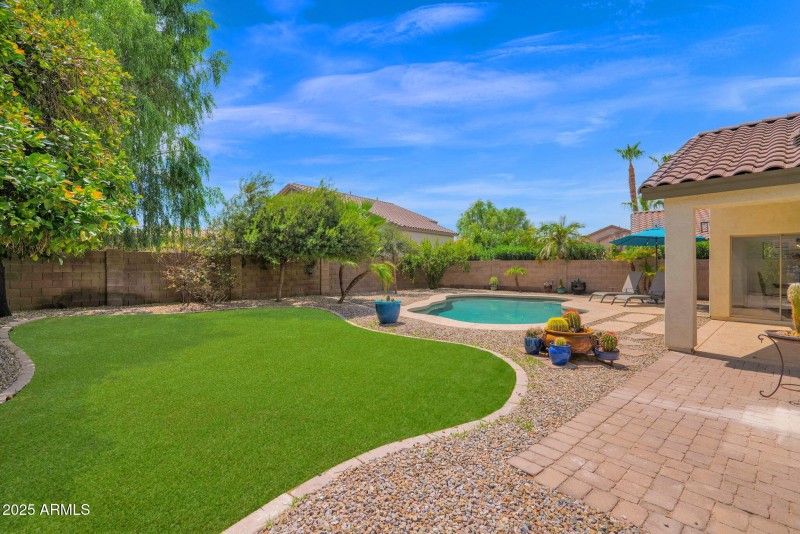 Stunning Back Yard