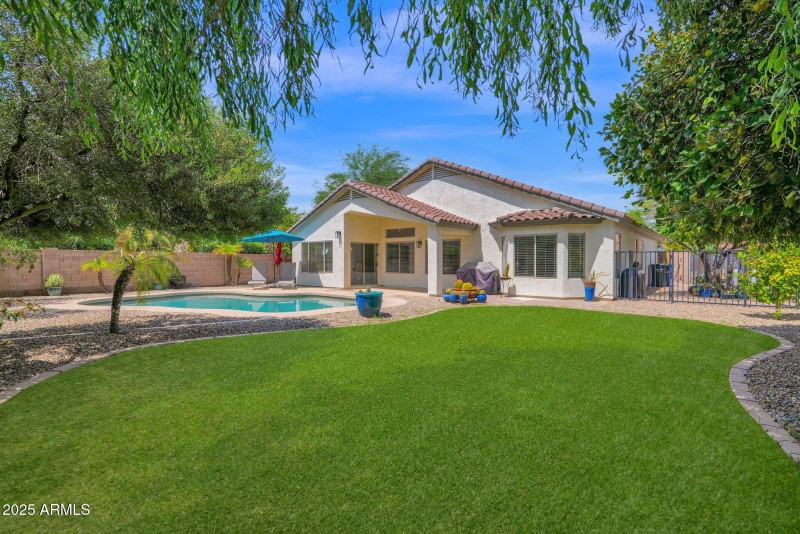 Stunning Back Yard