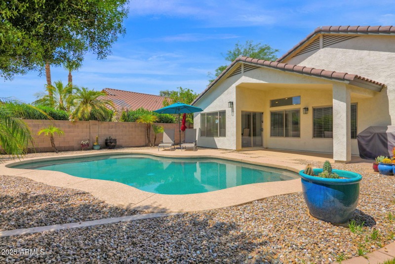 Stunning Back Yard