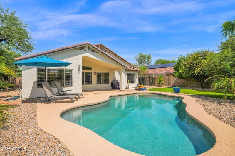 Stunning Back Yard