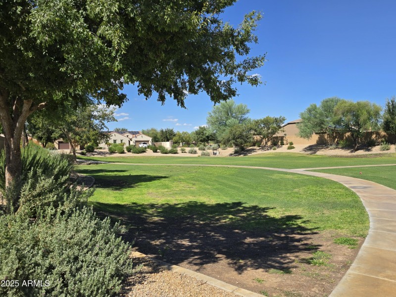 coronado park 1