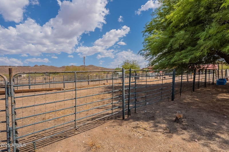 54-web-or-mls-Running-55