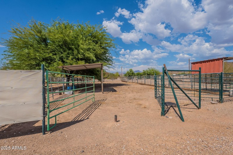 55-web-or-mls-Running-56