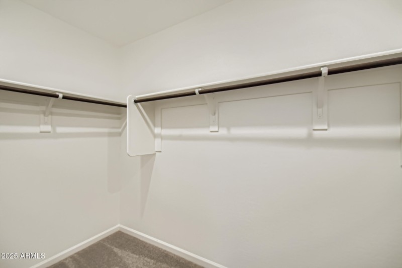 Owners Walk in Closet