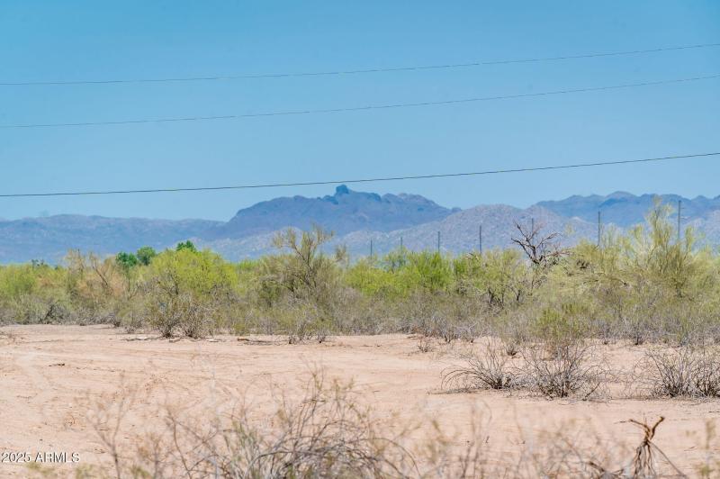 21916 W Duane Ln - MLS-51