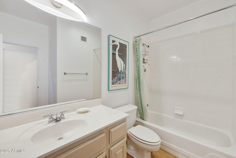 Hall Bathroom