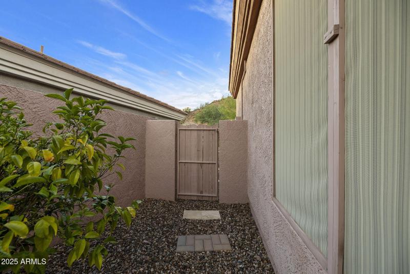 Side Yard